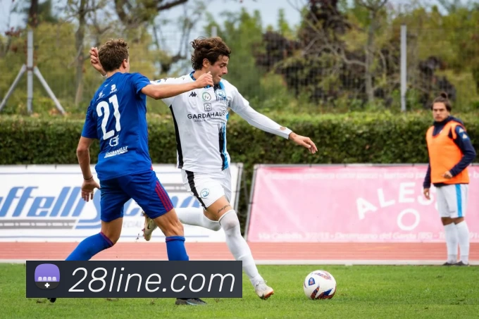 28圈官网发展历程